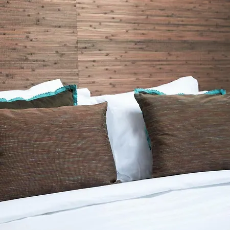 Visconde Mezzanine アパート ポルト