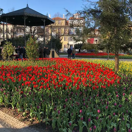 Visconde Mezzanine * 포르투